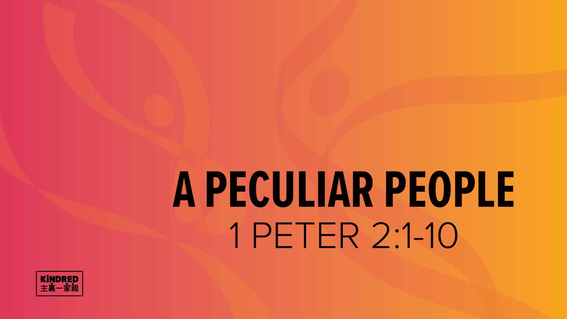 a-peculiar-people-university-presbyterian-church